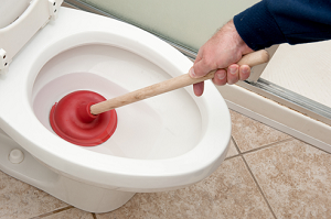 unclogging a toilet