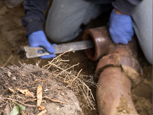 image of sewer line repair in Macungie, PA