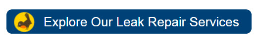 Leak Repair Services