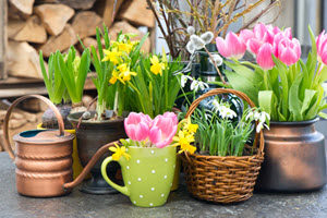 spring maintenance for homeowners