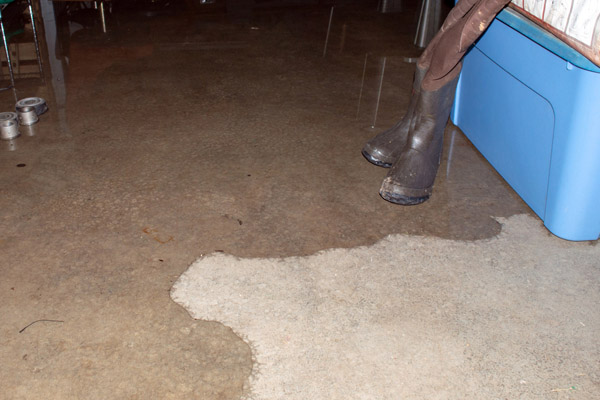 image of the beginning of a basement flood