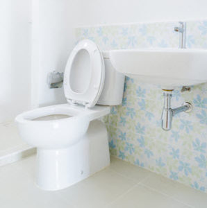 image of toilet repair services in easton pa