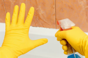 bathroom mold