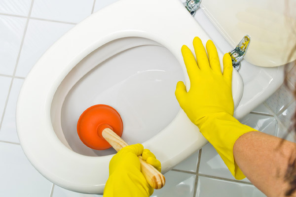 clogged toilet in an allentown pennsylvania home