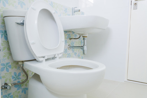 image of a toilet