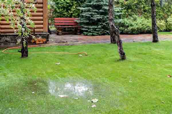 image of soggy patch in bethlehem pa home yard due to broken sewer line