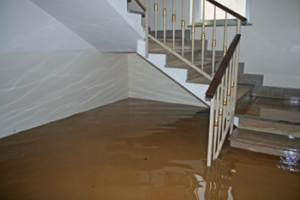 flooded basement