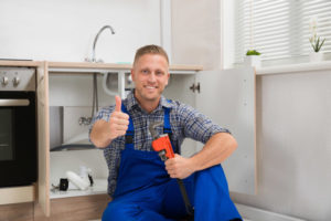 image of a plumbing expert