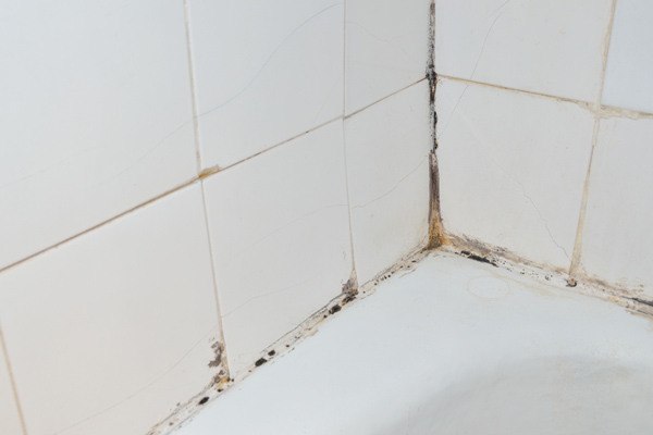image of bathroom mold in bathtub