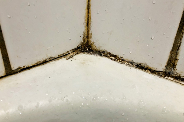 preventing mold in bathroom