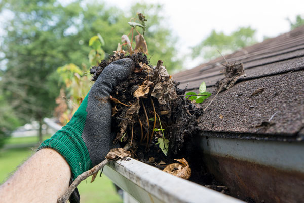 cleaning clogged gutters