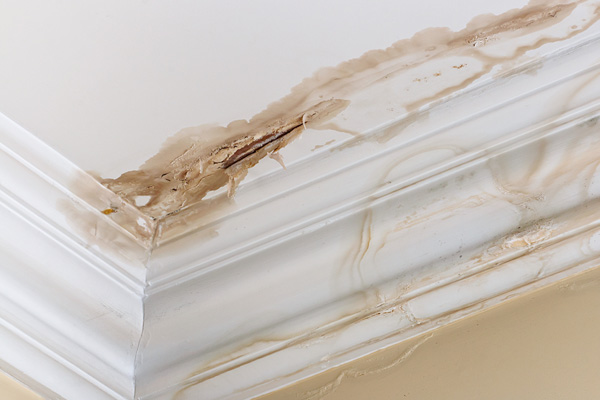 water and mold on ceiling after water pipe leak