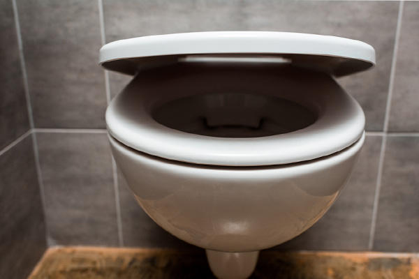 image of a new toilet