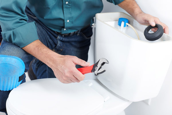 image of a toilet repair