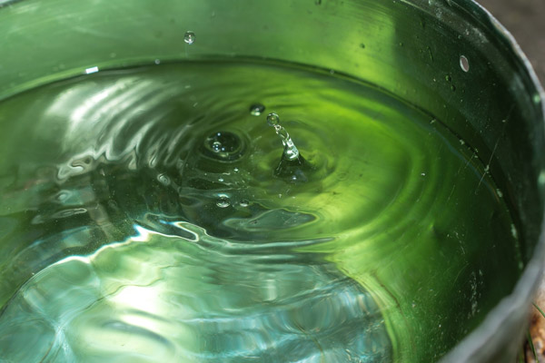 bucket full of water to flush toilet