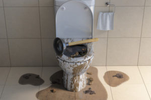 image of an overflowing toilet and toilet clog