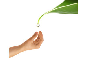 image of hand holding water drop depicting water conservation
