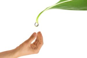 image of hand catching water drop depicting water conservation