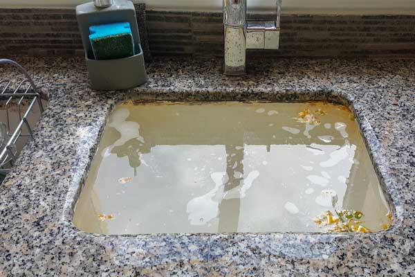 image of a clogged sink with food
