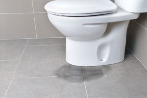 image of a toilet leaking at its base