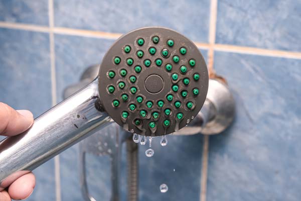 image of a calcified showerhead