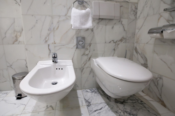 image of a luxury bathroom with bidet