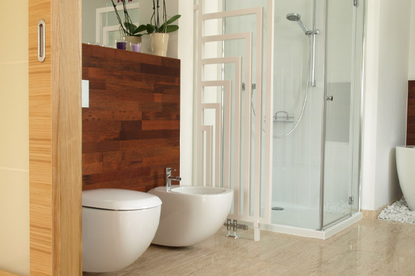 image of a residential bathroom with a bidet