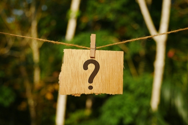 question mark on a piece of wood hanging on a thin rope with a mini clip depicting Plumbing Problems and Pets FAQs