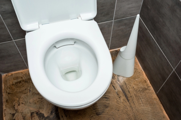 image of a toilet bowl