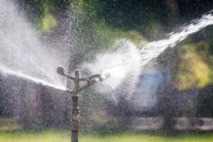 Sprinkler head watering the grass