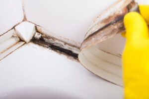 black mold growth under a tile sealant in a bathroom