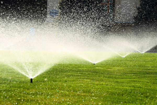 garden sprinklers on a green lawn