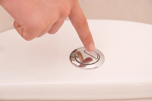 homeowner about to flush a toilet