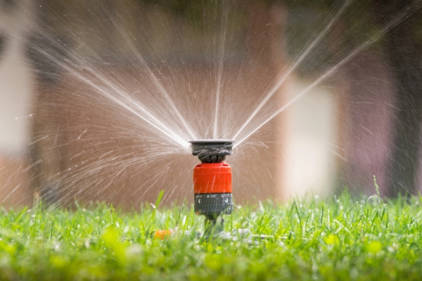 sprinkler head spraying water