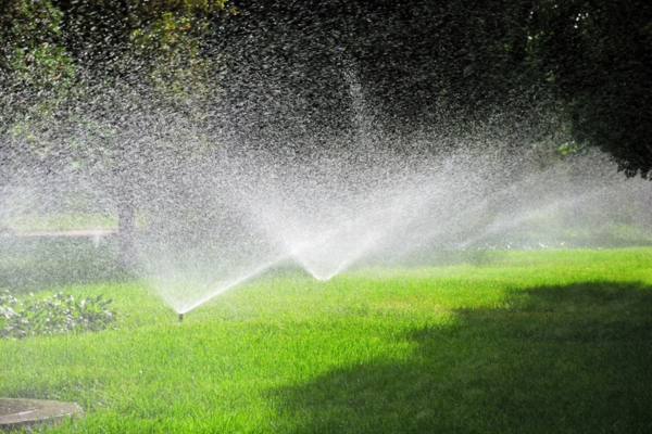 sprinklers in a row watering plants
